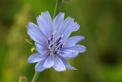 BUITEN BEELD Foto: 105642