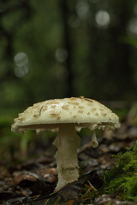 BUITEN BEELD Foto: 105648