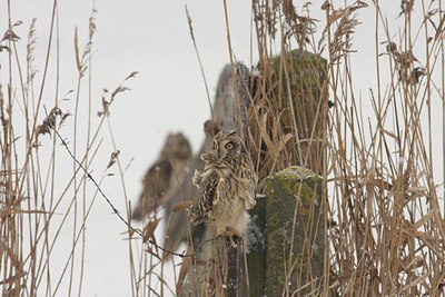 BUITEN BEELD Foto: 105657