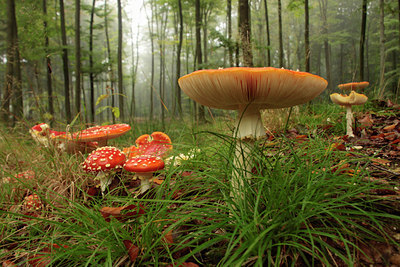 BUITEN BEELD Foto: 105686