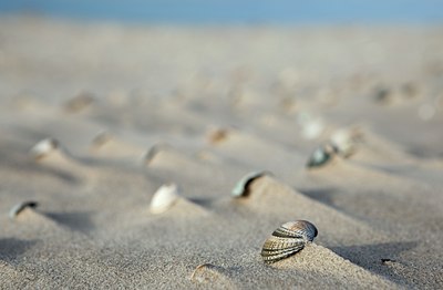 BUITEN BEELD Foto: 105855