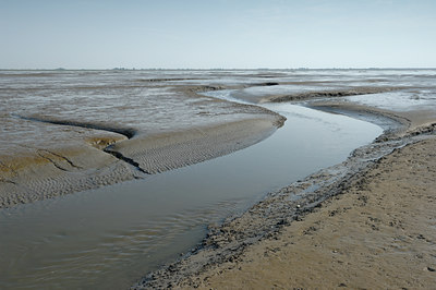 BUITEN BEELD Foto: 105873