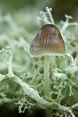 BUITEN BEELD Foto: 105887
