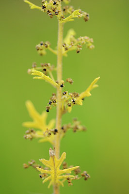 BUITEN BEELD Foto: 105914