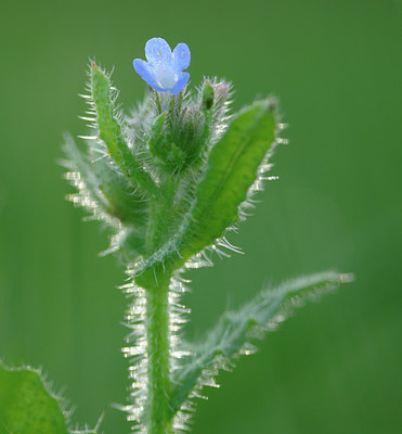 BUITEN BEELD Foto: 105955