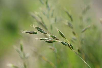 BUITEN BEELD Foto: 105958