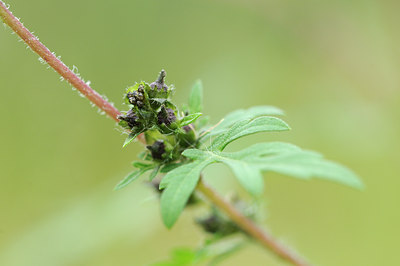 BUITEN BEELD Foto: 105966