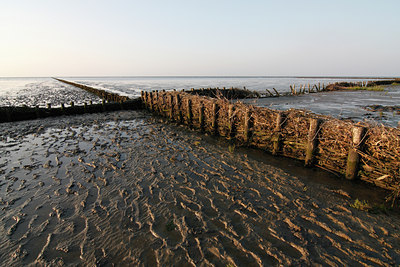 BUITEN BEELD Foto: 106042