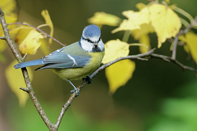 BUITEN BEELD Foto: 106060