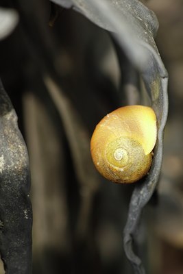 BUITEN BEELD Foto: 106085