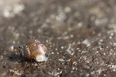 BUITEN BEELD Foto: 106089