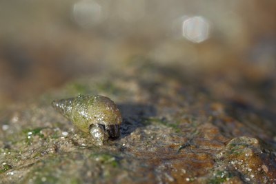 BUITEN BEELD Foto: 106090