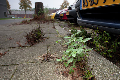 BUITEN BEELD Foto: 106104