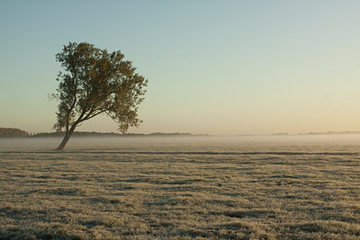 BUITEN BEELD Foto: 106131