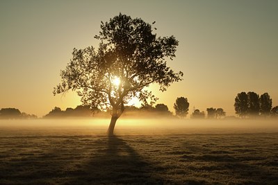 BUITEN BEELD Foto: 106132