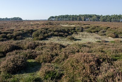 BUITEN BEELD Foto: 106168