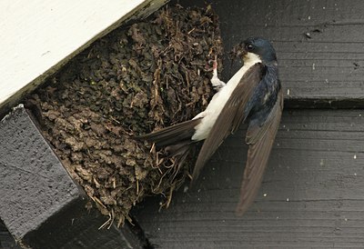 BUITEN BEELD Foto: 106218