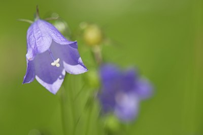 BUITEN BEELD Foto: 106300