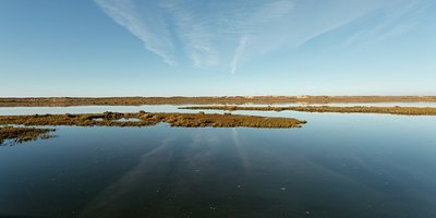BUITEN BEELD Foto: 106312