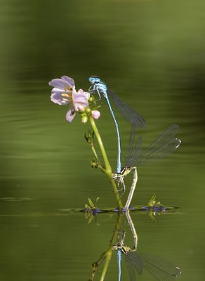 BUITEN BEELD Foto: 106337