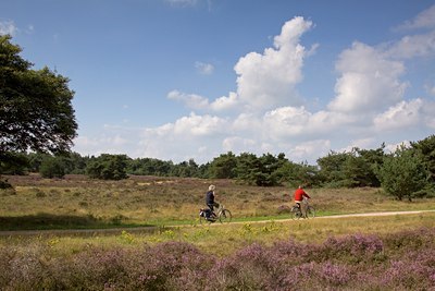 BUITEN BEELD Foto: 106343