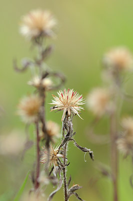 BUITEN BEELD Foto: 106350