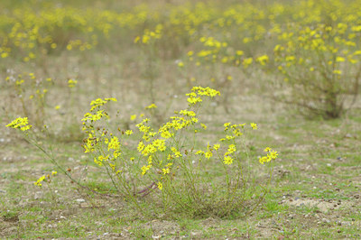 BUITEN BEELD Foto: 106354