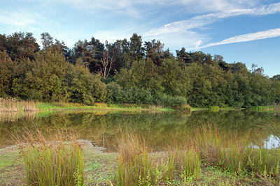 BUITEN BEELD Foto: 106377