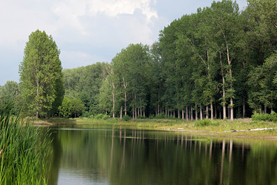 BUITEN BEELD Foto: 106389