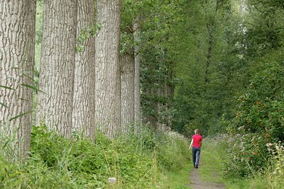 BUITEN BEELD Foto: 106394