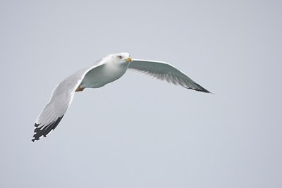 BUITEN BEELD Foto: 106397