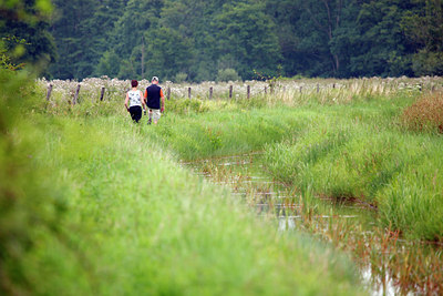 BUITEN BEELD Foto: 106398