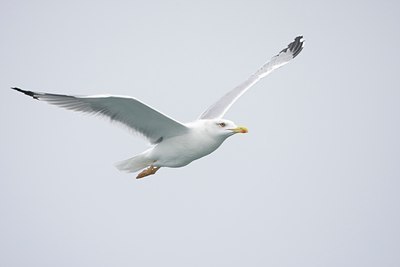BUITEN BEELD Foto: 106399