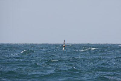 BUITEN BEELD Foto: 106403