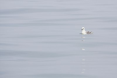 BUITEN BEELD Foto: 106404