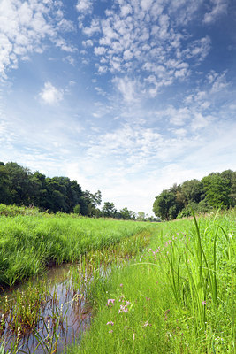 BUITEN BEELD Foto: 106424