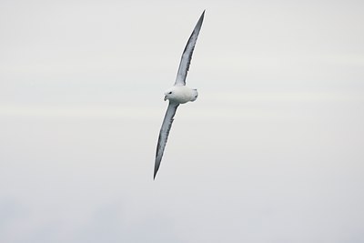 BUITEN BEELD Foto: 106425