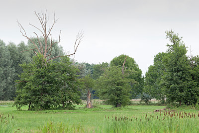 BUITEN BEELD Foto: 106426