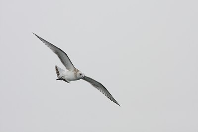BUITEN BEELD Foto: 106436