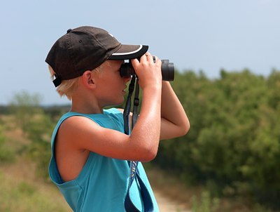 BUITEN BEELD Foto: 106439