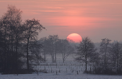 BUITEN BEELD Foto: 106481