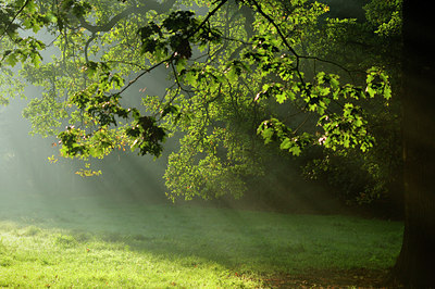 BUITEN BEELD Foto: 106489