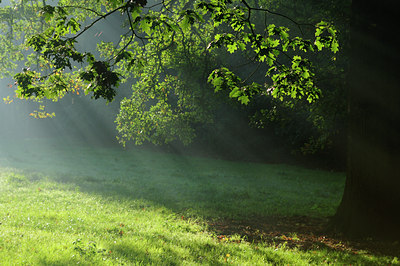 BUITEN BEELD Foto: 106492