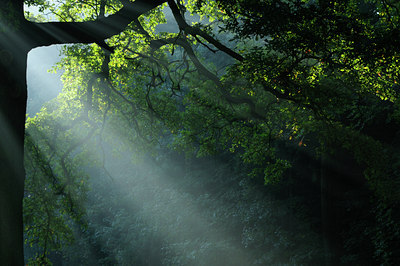 BUITEN BEELD Foto: 106494