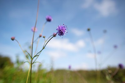 BUITEN BEELD Foto: 106514
