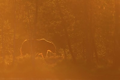 BUITEN BEELD Foto: 106588