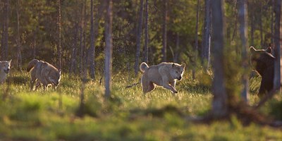 BUITEN BEELD Foto: 106598