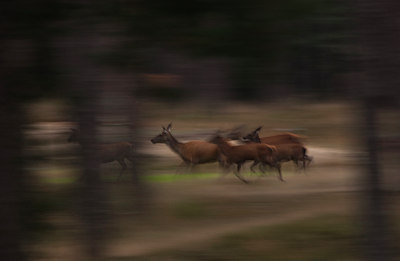 BUITEN BEELD Foto: 106666