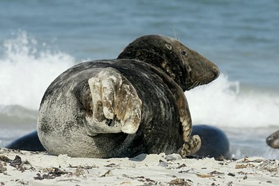 BUITEN BEELD Foto: 106711