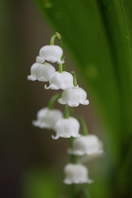 BUITEN BEELD Foto: 106724